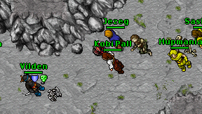 Kobi Pall on screen