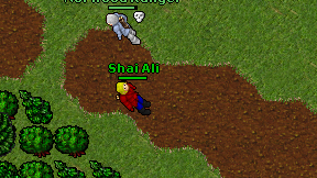Shai Ali on screen