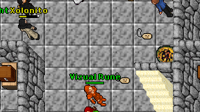 Vizual Rune on screen