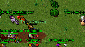 Terry Custon on screen