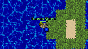 Raven Shield on screen