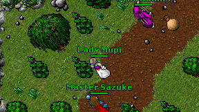 Lady Mupi on screen