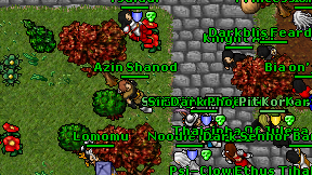 Azin Shanod on screen