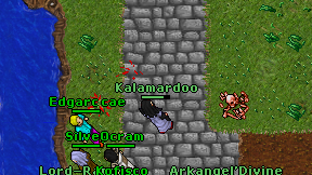 Kalamardoo on screen