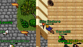 Ellu Endare on screen
