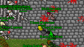 Thon Warrior on screen