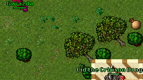 Gwiazda on screen