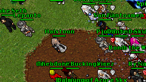 Halstoon on screen