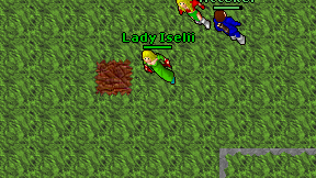 Lady Iselii on screen