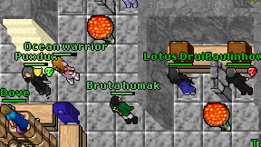 Lotus Druida on screen