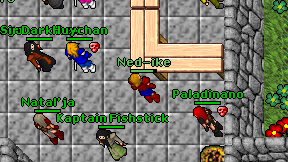 Ned-ike on screen