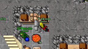 Yakom on screen