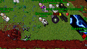 Brunoex on screen