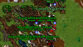 Druid Prinn on screen