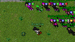 Bomfim on screen