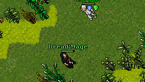 Dread'Mage on screen