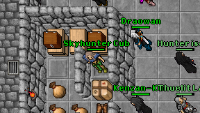 Skyhunter Cub on screen