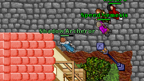 Shadow Archeror on screen