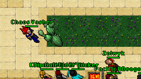 Chaos Vasher on screen