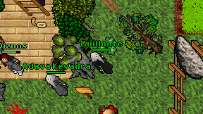 Guilloote on screen