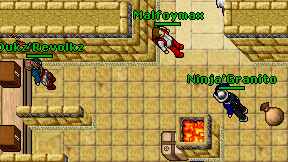 Ninja'Granito on screen