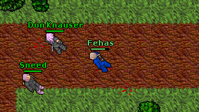 Fehas on screen
