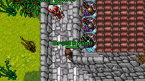 Druid Ryann on screen