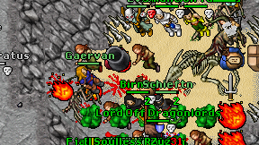 Gaervan on screen