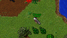 Clynn on screen