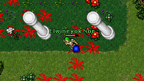 Elwineyok Nor on screen