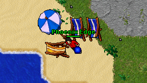 Phoenix Edge on screen