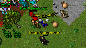 Lucro palla on screen