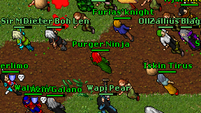Purger Ninja on screen