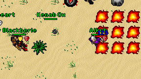 Aikuh on screen