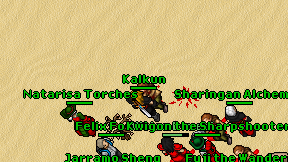 Kalkun on screen