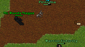 Pirozona on screen