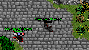 Morgan'Ruler on screen