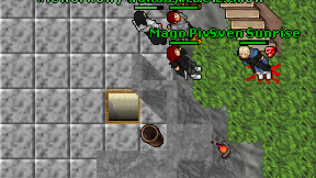 Solverin on screen