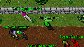 Supper Fly on screen