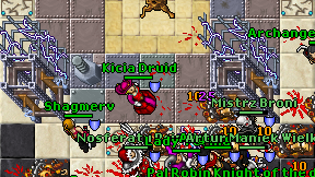 Kicia Druid on screen
