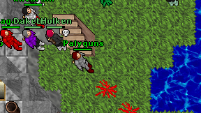 Palyguns on screen