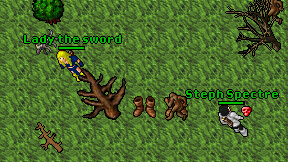Lady the sword on screen