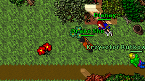 Drako Sho on screen