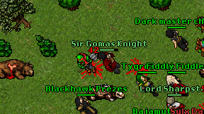 Sir Gomas Knight on screen