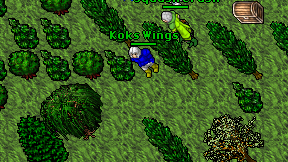 Koks Wings on screen