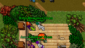 Stalker Dian on screen