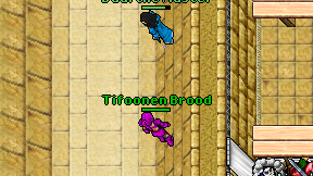 Tifoonen Brood on screen