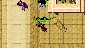 Lite Gina on screen
