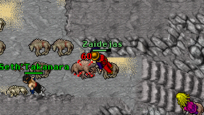 Zaidejas on screen