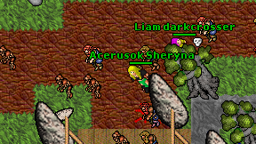 Acerusok Sheryna on screen